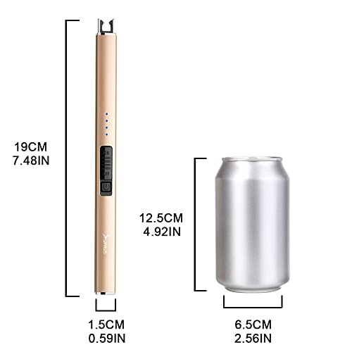 Electric Arc USB Rechargeable Lighter with Safety Lock (champagne Gold) F1568