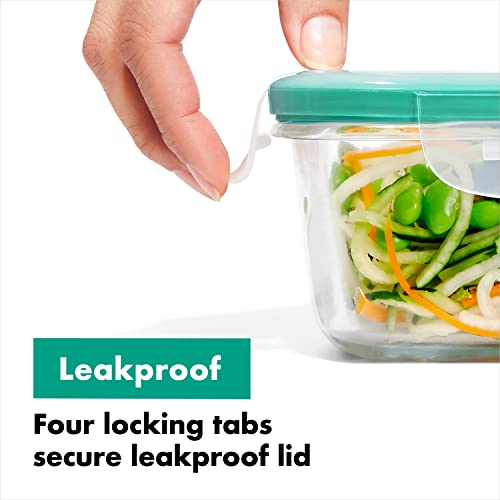 2 Cup Glass Food Storage Container B277733
