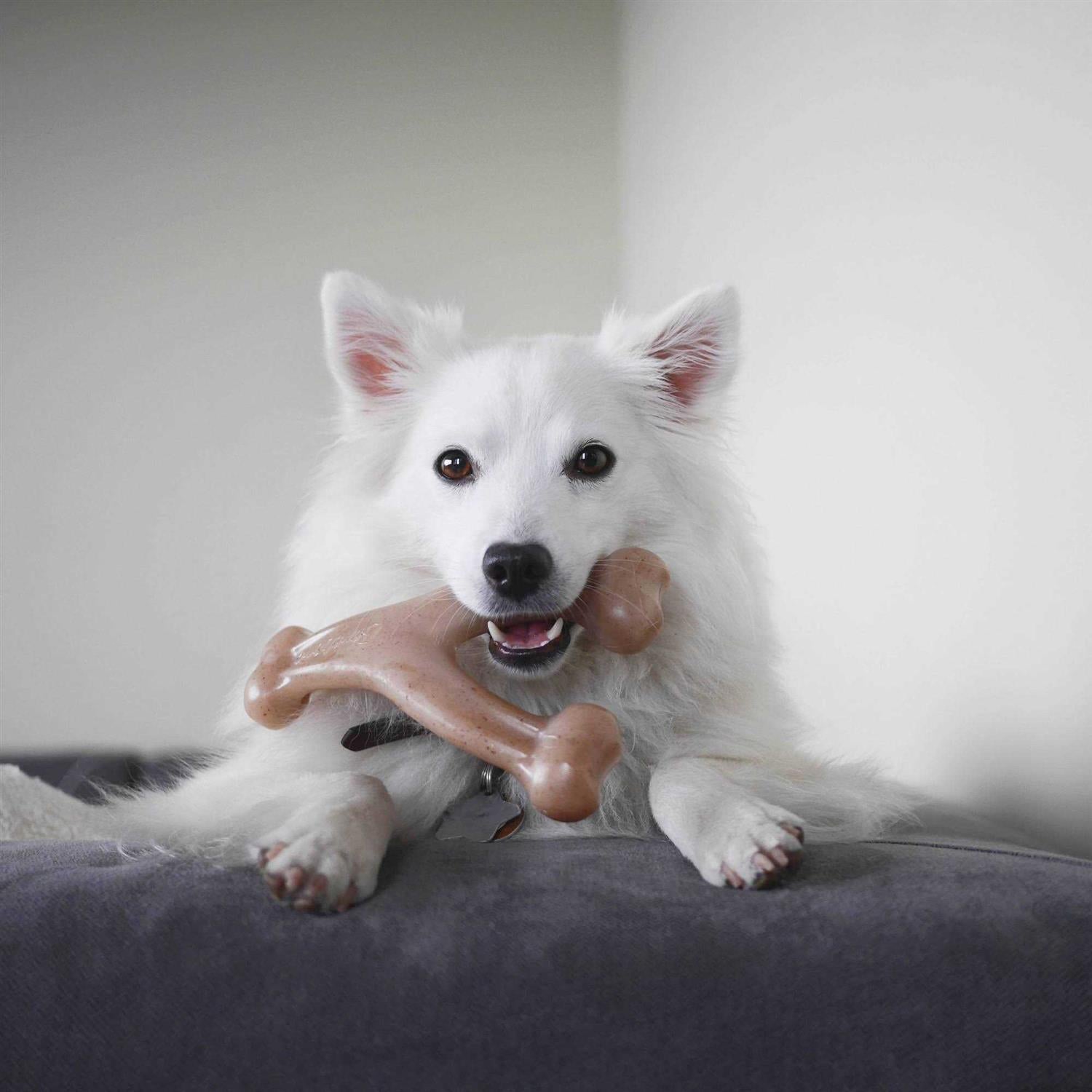 Wishbone Dog Chew U194