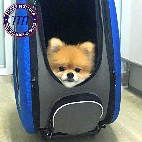 5 in 1 Pet Carrier Backpack Carseat Stroller with Wheels Blue J44595