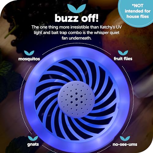 Indoor Insect Trap with UV Light (Black) H6046