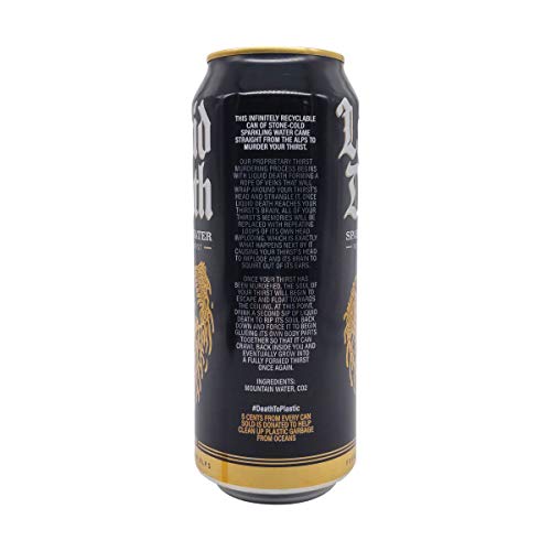 Sparkling Mountain Spring Water, 16.9 FZ (Pack of 2) H934436