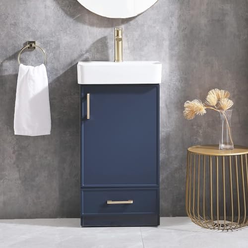 Blue 1 Door 1 Drawer Bathroom Vanity with Sink N396