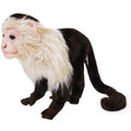 Capuchin Monkey Plush K1377