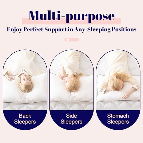 King Size 2 Pack Goose Feather and Down Bed Pillow, 20x36 Inches V380
