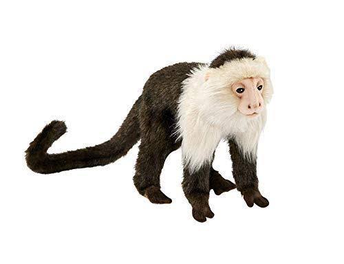 Capuchin Monkey Plush K1377