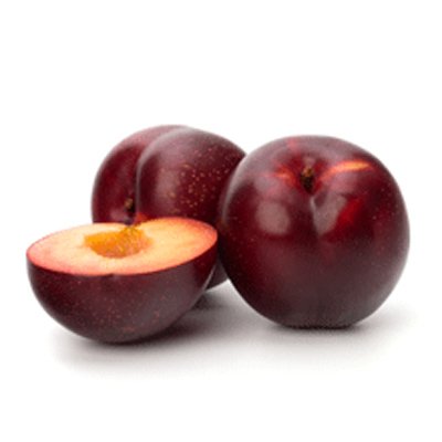 Santa Rosa Plum Tree, 4-5 ft. U626