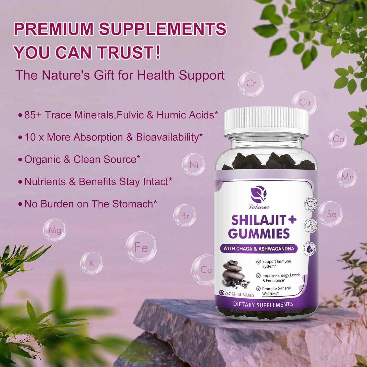(2 Pack) Shilajit Gummies with Ashwagandha, Black Seed Oil, Vitamin C D3 B12 & Zinc, Sugar Free E4814