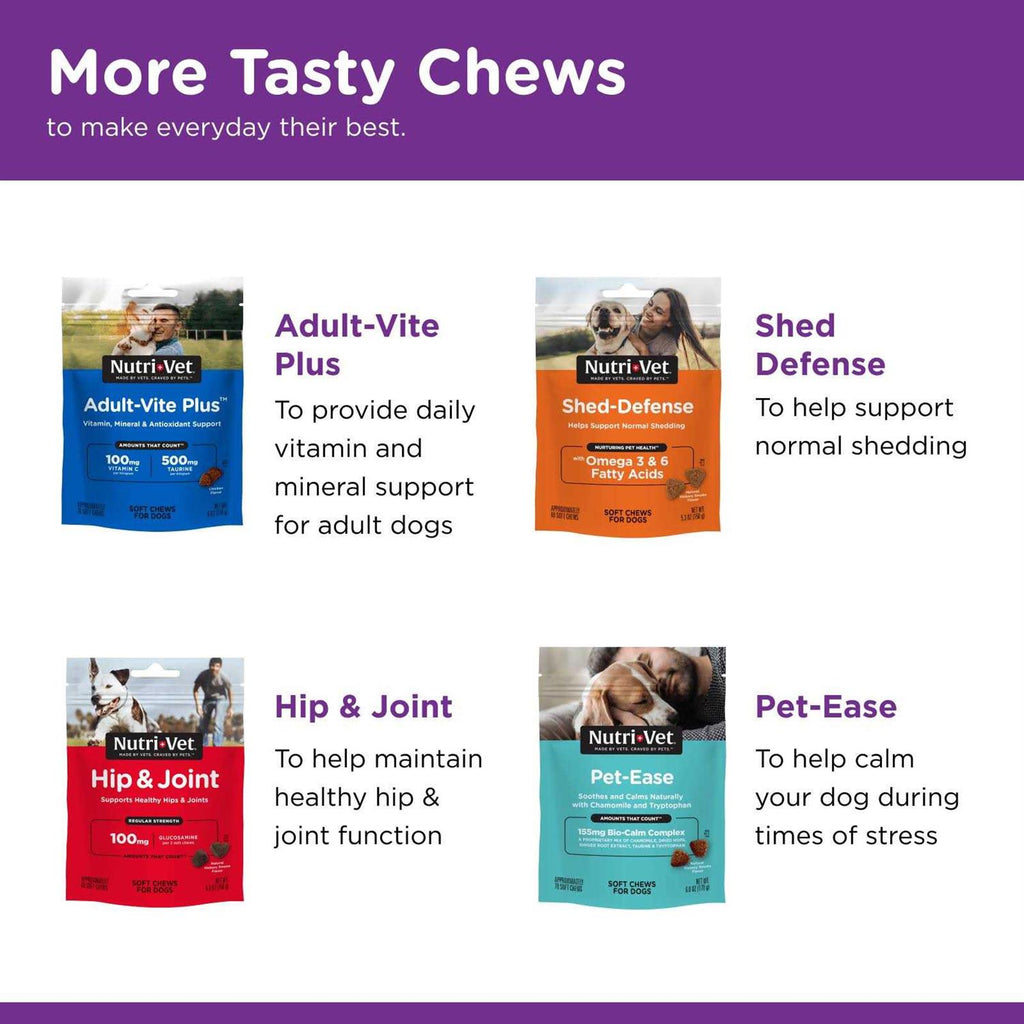 Pre and Probiotic Soft Chews for Dogs S5009