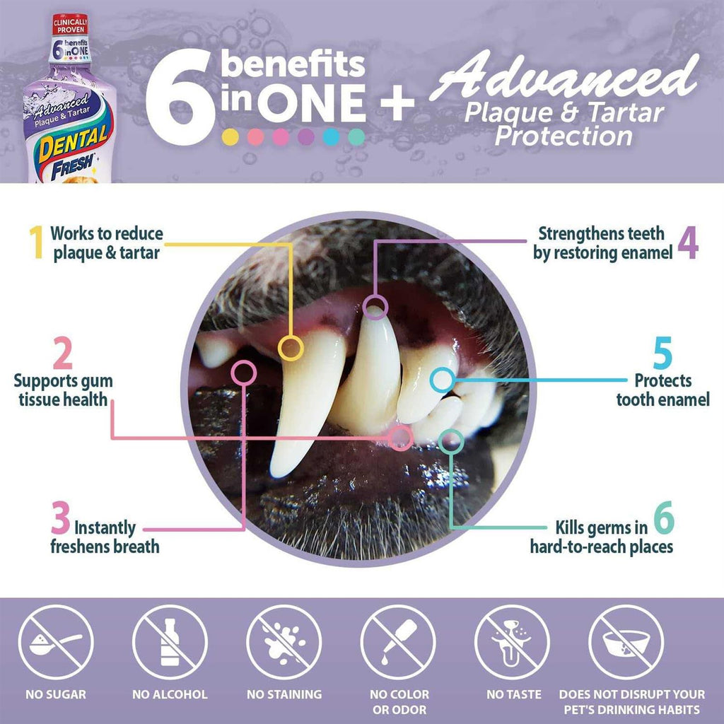 Dental Fresh Advanced Plaque & Tartar Water Additive for Dogs V6568