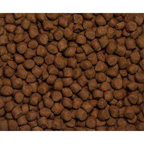 Dry Dog/Cat Food Y3124