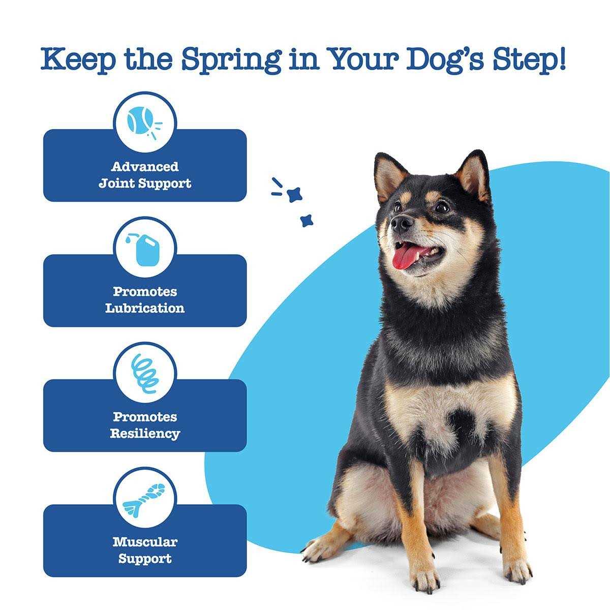 Advanced Hip Joint Mobility Bites for Senior Dogs T8987