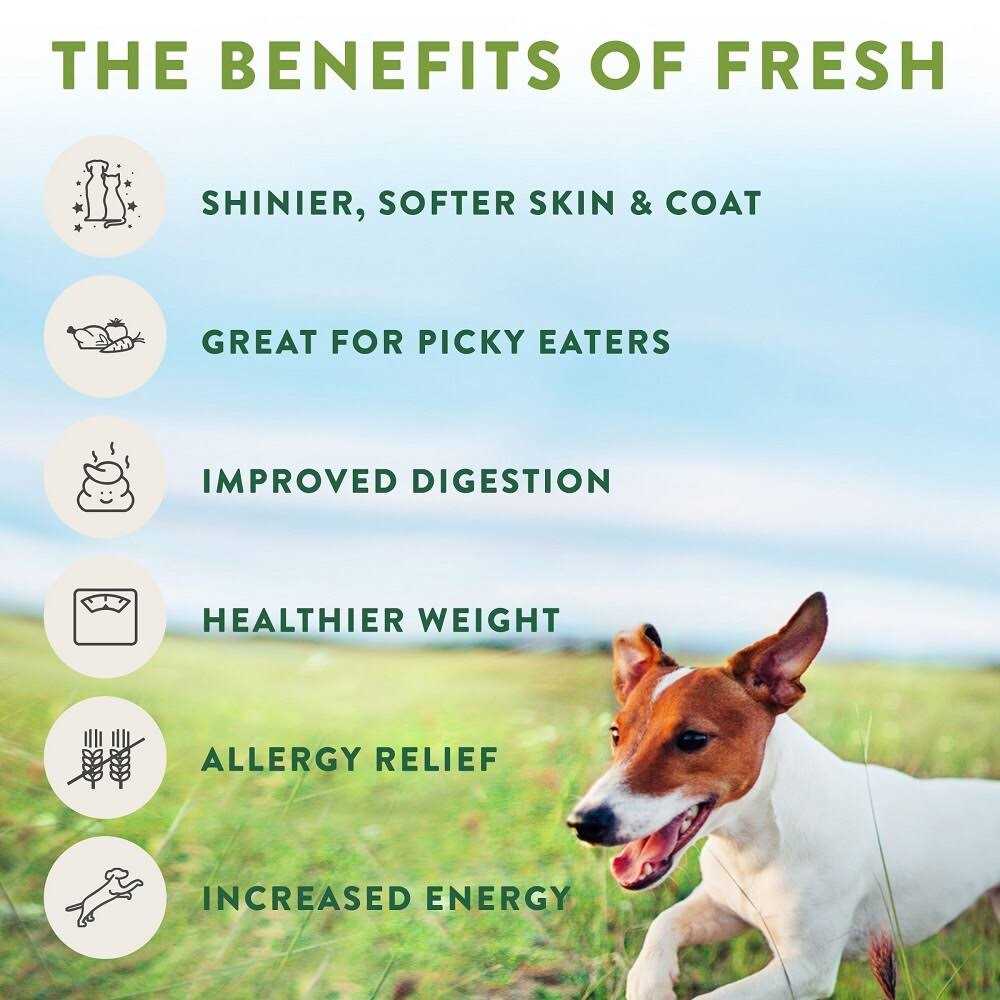 Grain Free Chicken Recipe Slice & Serve Roll Dog Food N27587
