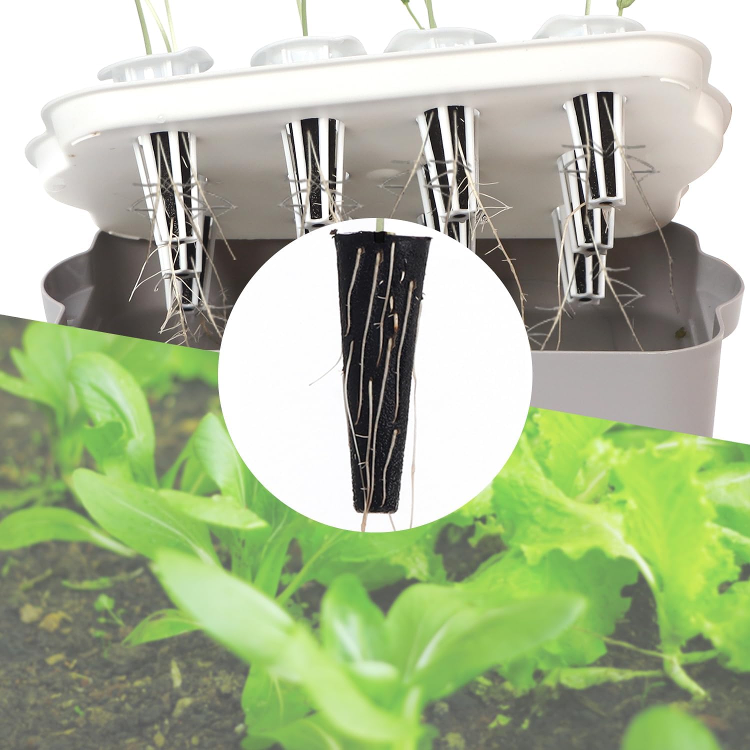 50 Pack Hydroponic Grow Sponges Seed Starter Pods G648261
