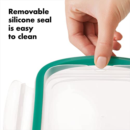 2 Cup Glass Food Storage Container B277733