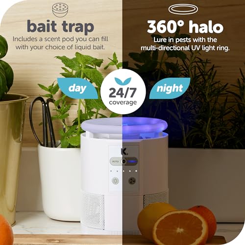 Indoor Insect Trap with UV Light (Black) H6046