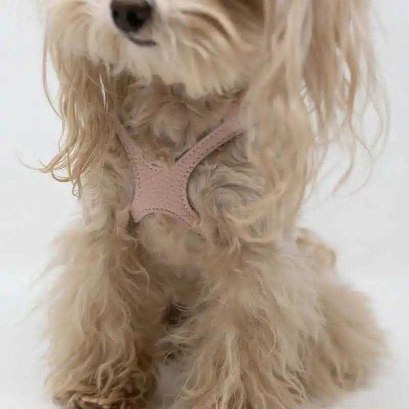 Pebble Grain Buddy Harness O682624