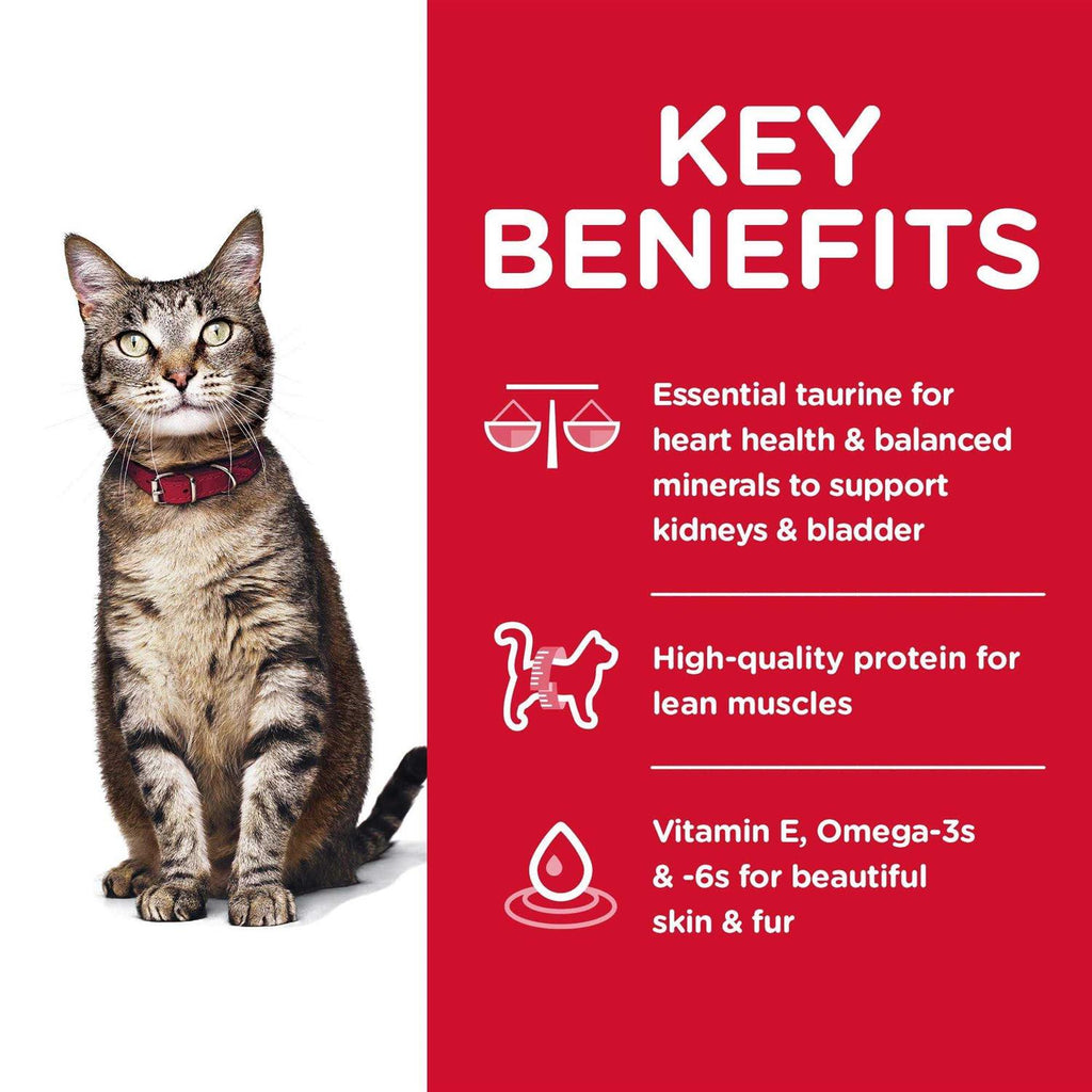 Adult Dry Cat Food B317419