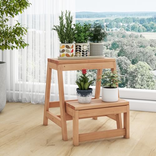 Wooden 2-Step Folding Step Stool B50450