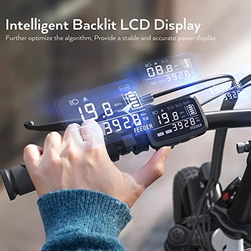 16" x 3.0 Fat Tire Step Thru Electric Bicycle with 48V Removable Battery L1468