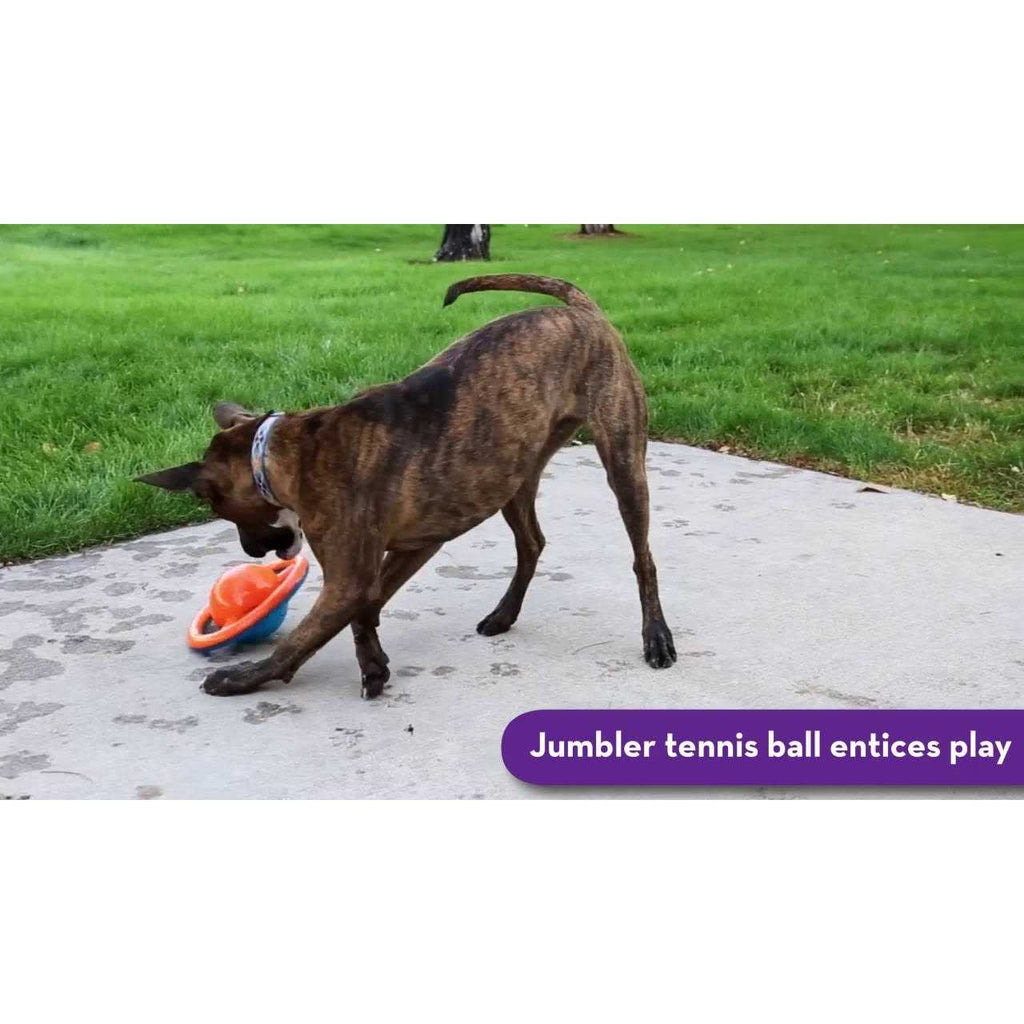 Jumbler Disc Dog Toy G55150