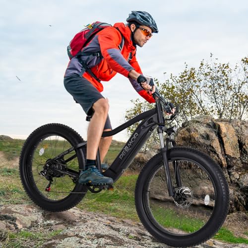 750W 48V 14AH Removable Battery 26" Fat Tire Electric Bike N24994