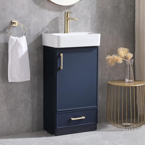 Blue 1 Door 1 Drawer Bathroom Vanity with Sink N396