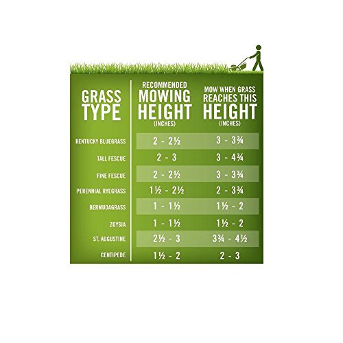 Annual Ryegrass, 10 lb S2828