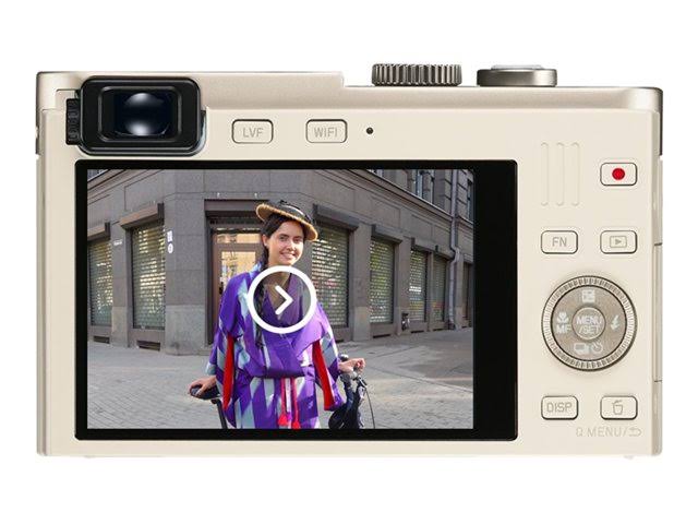 Light Gold 12.1 MP Digital Camera A1191
