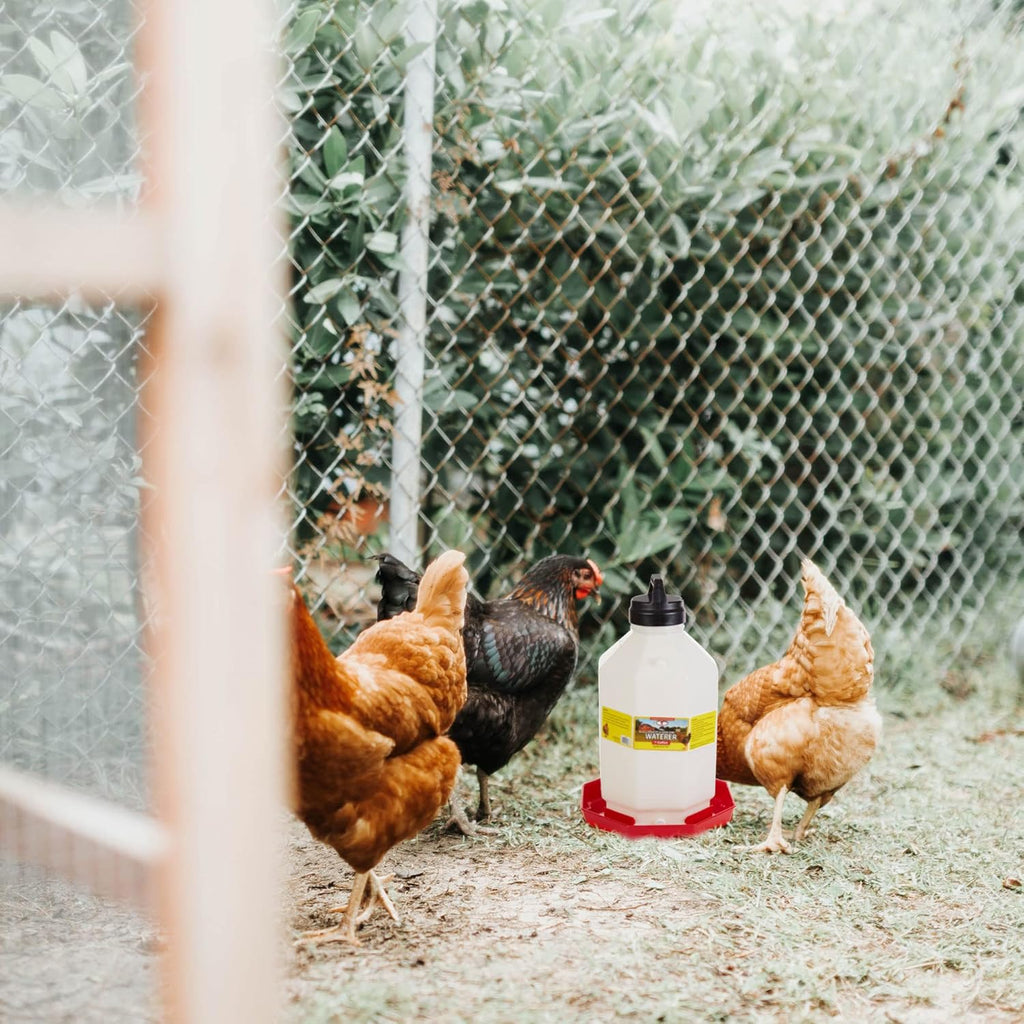 Red 7 Gallon Hanging Automatic Poultry Waterer Y1977