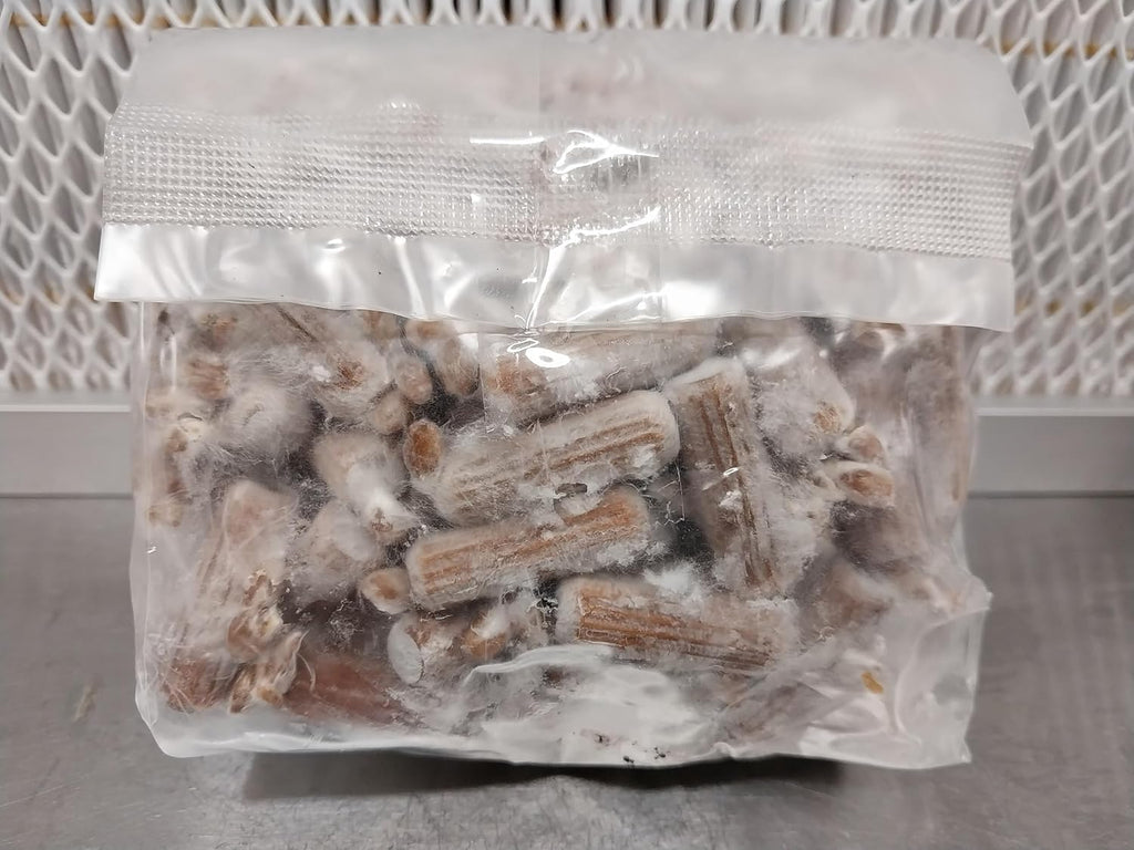 100 Lion's Mane Mushroom Plug Spawn L488813
