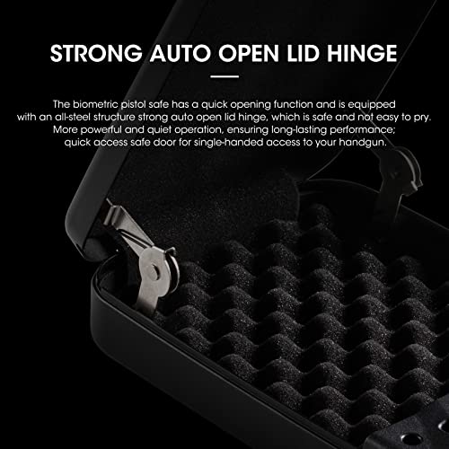 Portable Pistol Gun Safe with Lithium Battery I593