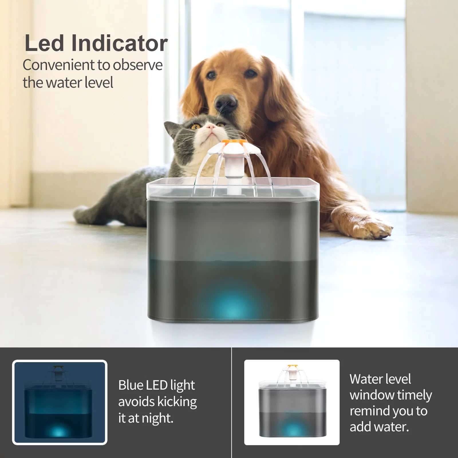 Black 2L Pet Water Fountain with Replacement Filters Q6734
