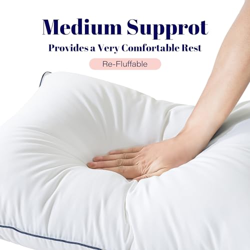 King Size 2 Pack Goose Feather and Down Bed Pillow, 20x36 Inches V380