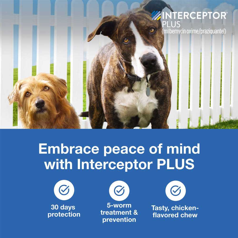 Interceptor Plus for Dogs I697