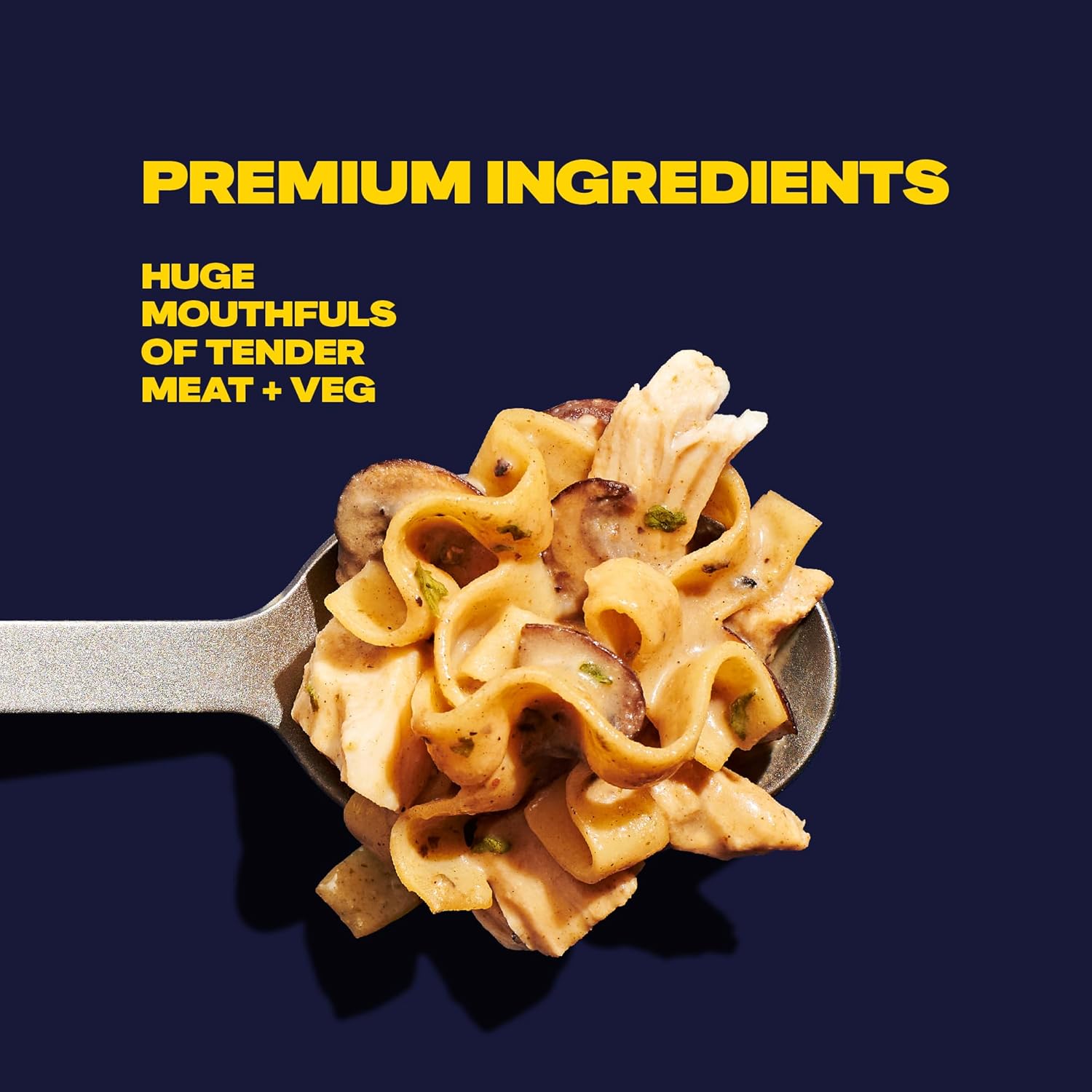 Chicken and Mushroom Marsala with Noodles Freeze Dried Camping Meal 2 Servings I238