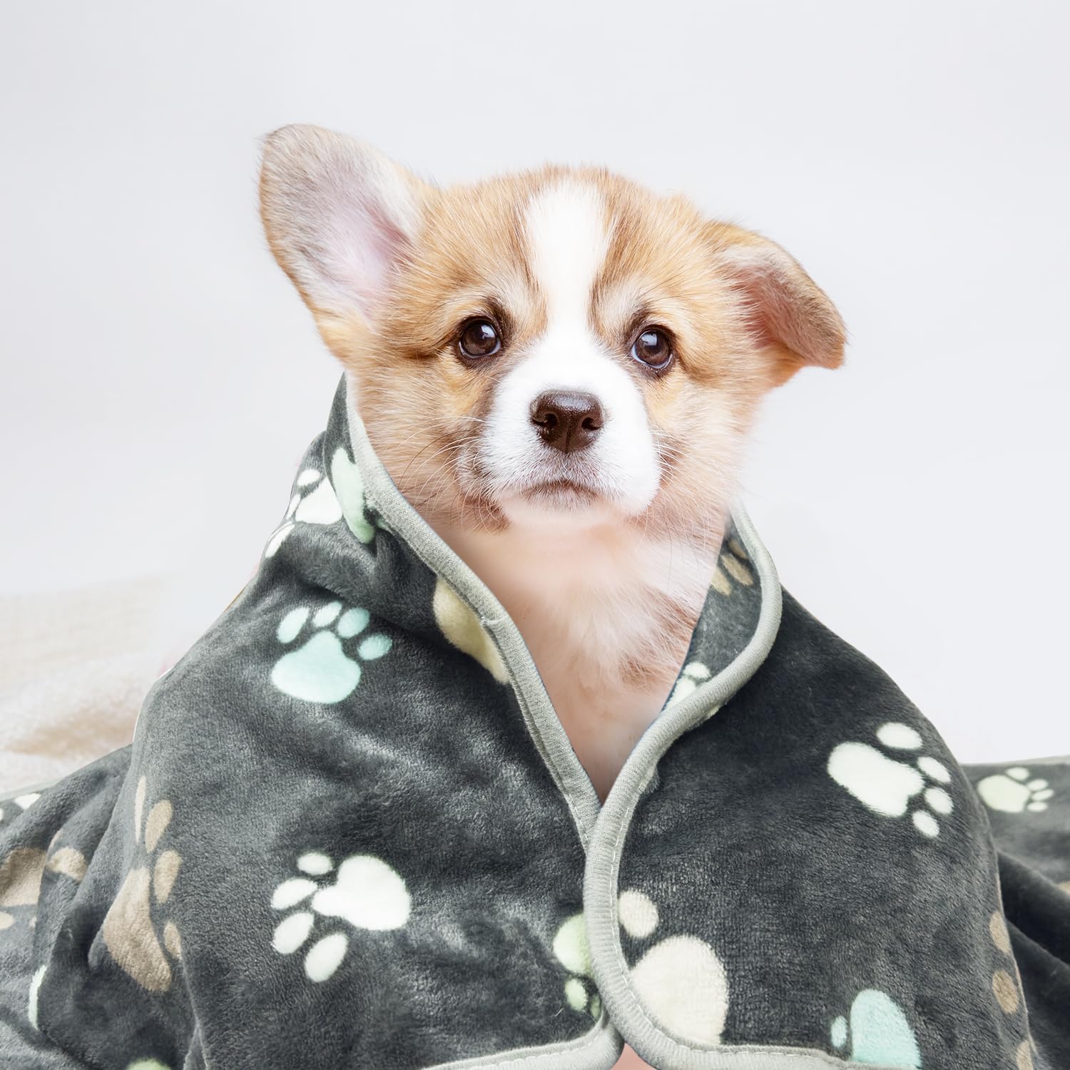 3Pack Super Soft Fluffy Pet Blankets D6033