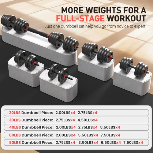 Adjustable Dumbbells, 20/30/40/55/60/70/80/90lbs Free Weights Convertible 2 in 1 Set R747