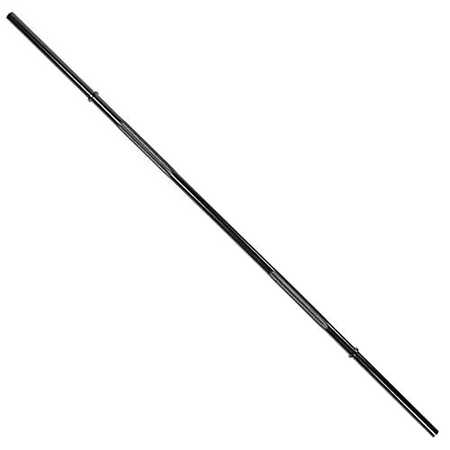 300-Pound Capacity Weightlifting Barbell K252