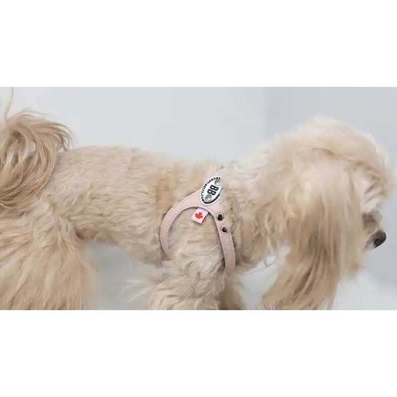 Pebble Grain Buddy Harness O682624