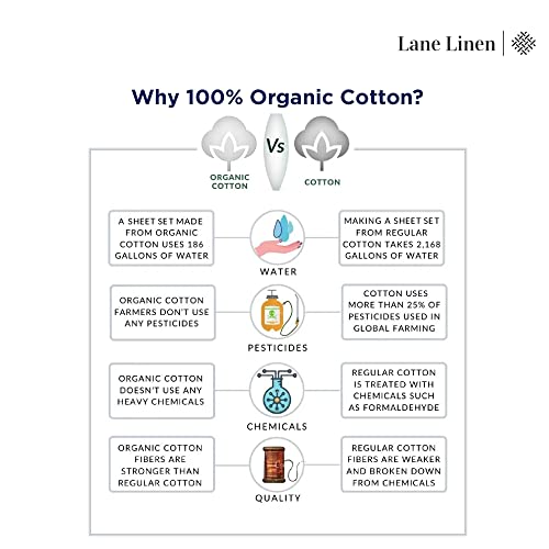 100% Organic Cotton Queen Size White Sheets 8 Pc Y81496