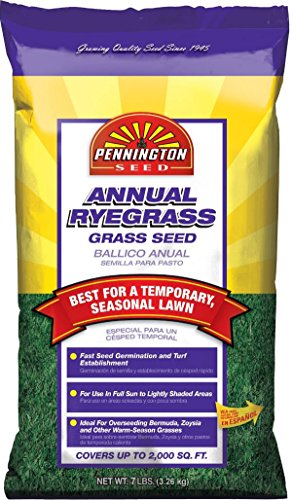Annual Ryegrass, 10 lb S2828