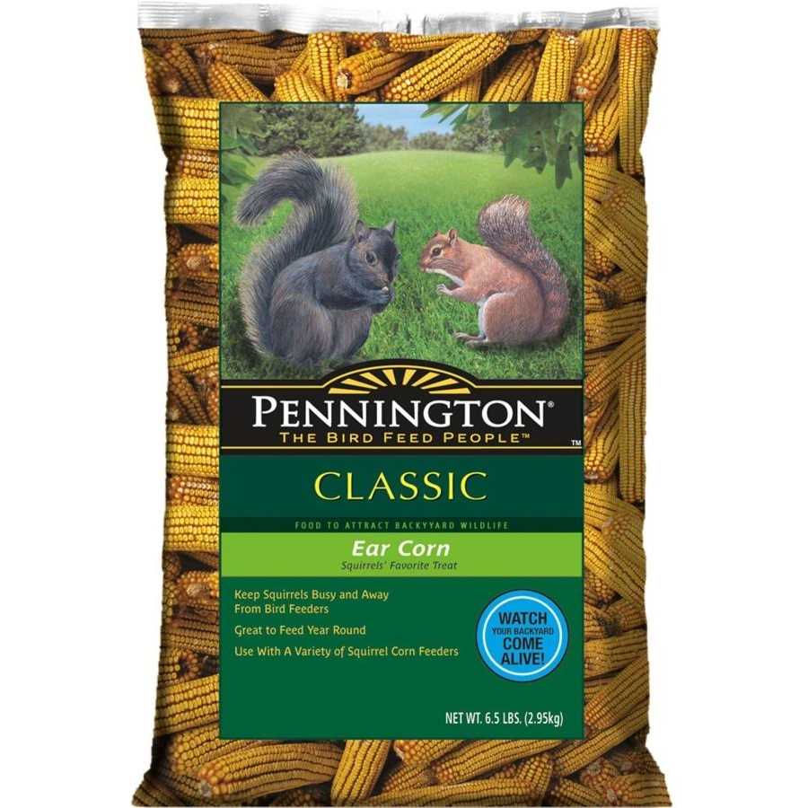 Whole Ear Corn Squirrel and Critter Feed S5079