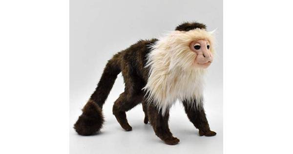 Capuchin Monkey Plush K1377