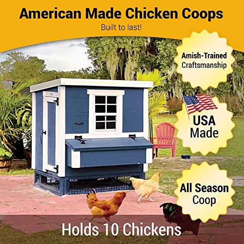 Medium Chicken Coop P21812
