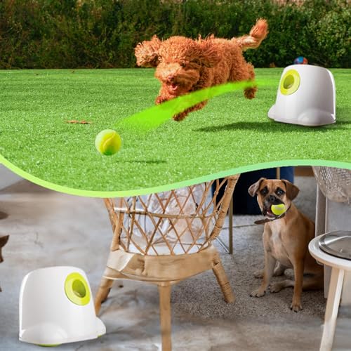 Automatic Ball Launcher for Dogs, includes 3pcs Tennis Balls O1601