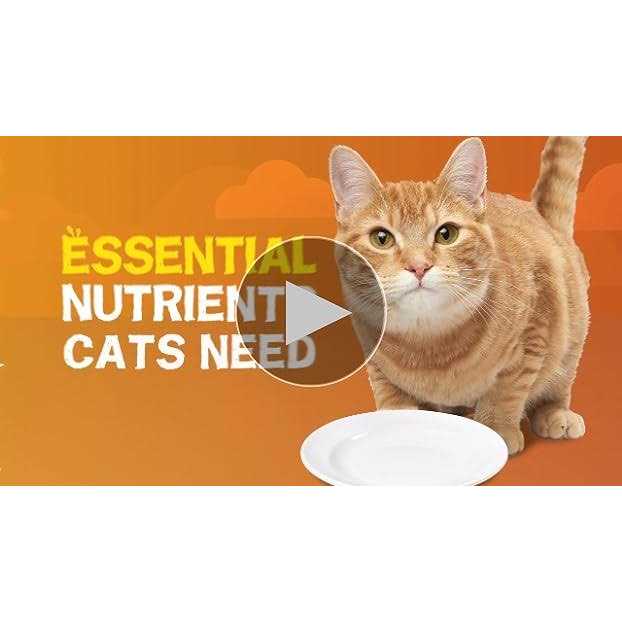 Extra Gravy Pate Wet Cat Food J9165