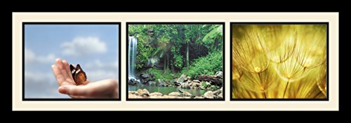Collage Photo Frame Single Mat with 3-8x10 Openings Satin Black Frame T299289