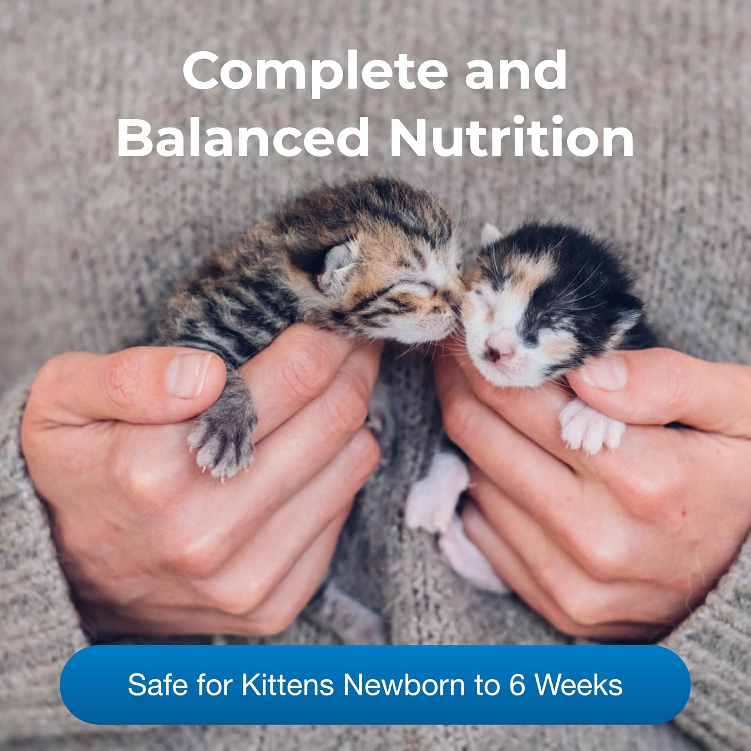 11 oz Ready-to-Feed Kitten Milk Replacer Liquid S273925