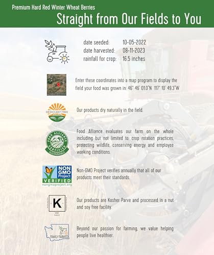 25 LBS Hard Red Winter Wheat Berries O1818